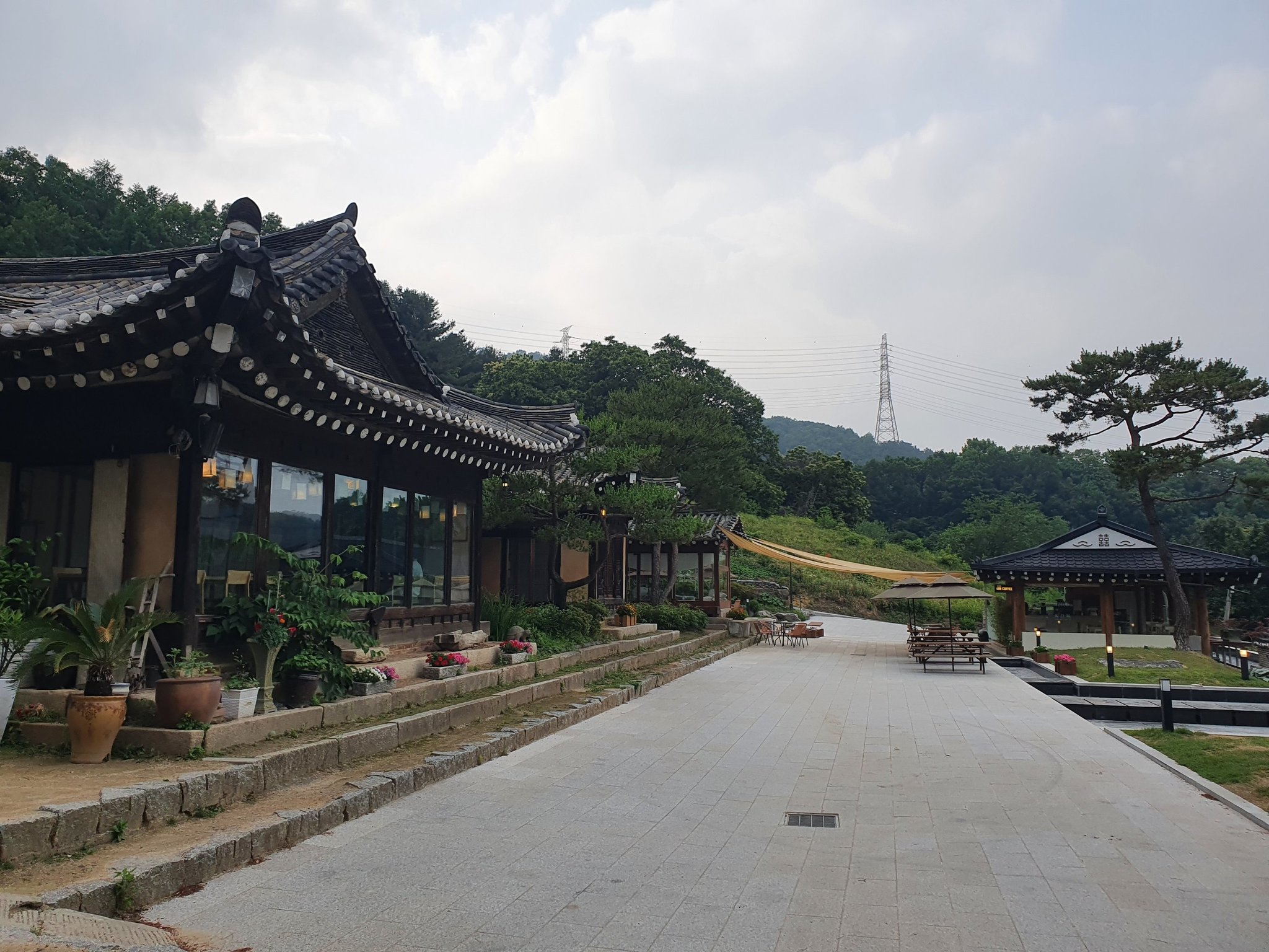 Exploring the Culinary Delights of Pocheon: A Gastronomic Journey Through Six Unique Eateries